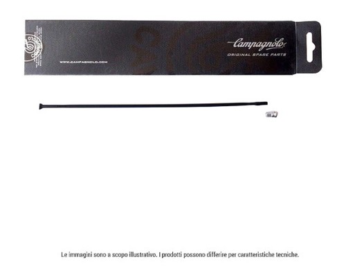 Campagnolo raggio della ruota - campagnolo,