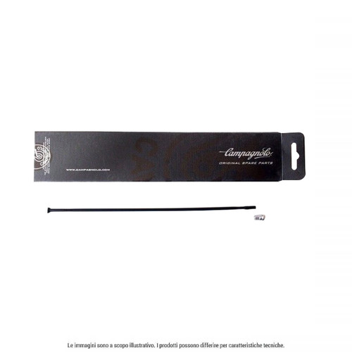 Raggio campagnolo 208shb - raggio,