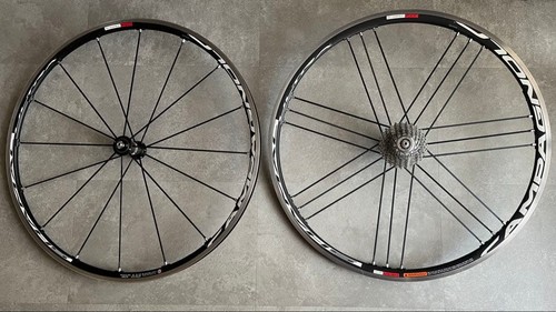 Ruota completa campagnolo - ruota,