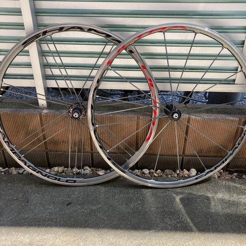Set ruote campagnolo shamal - ruote,